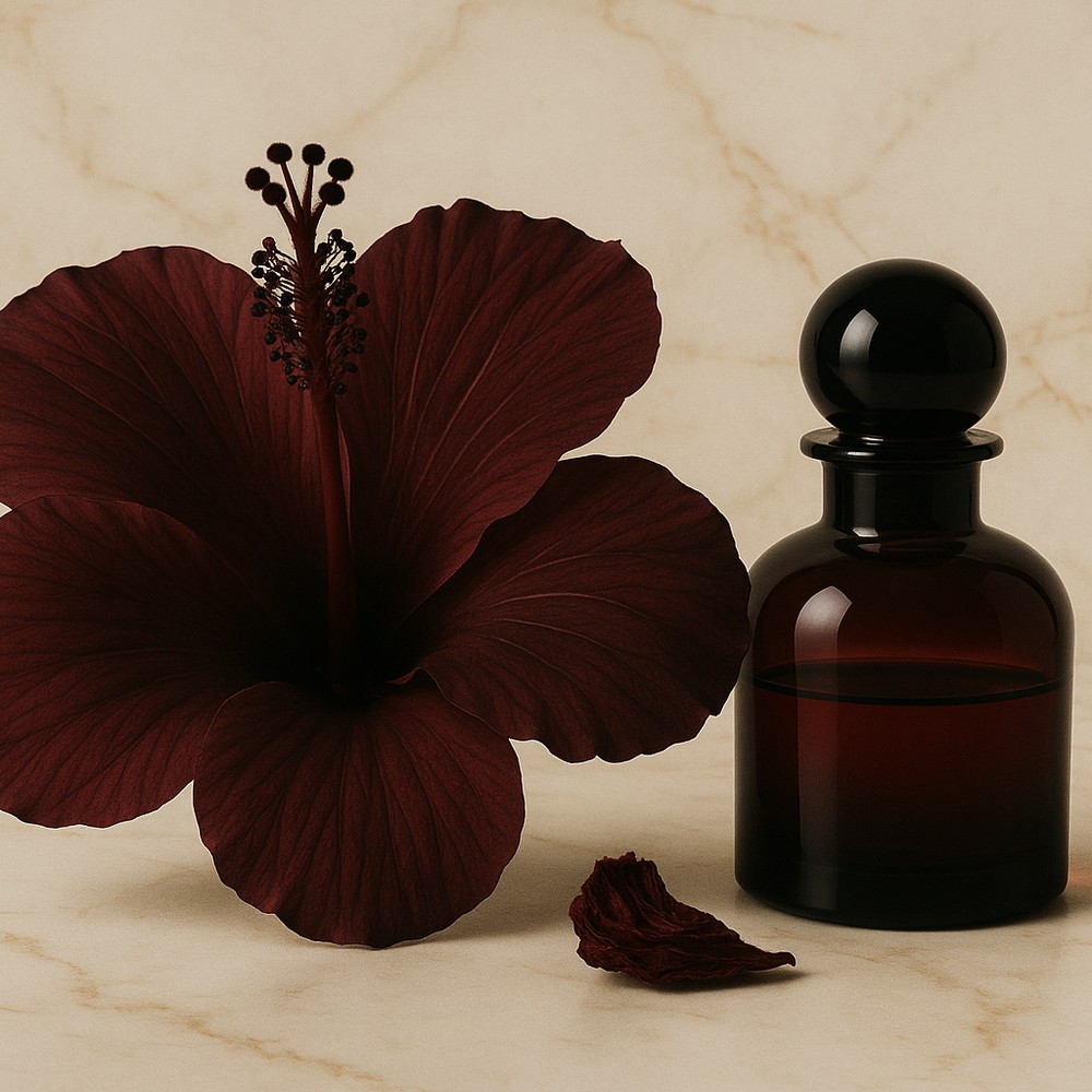 Hibiscus Noir